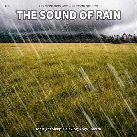 #01 The Sound of Rain for Night Sleep, Relaxing, Yoga, Health