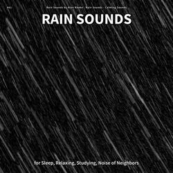 Rain Sounds, Pt. 70