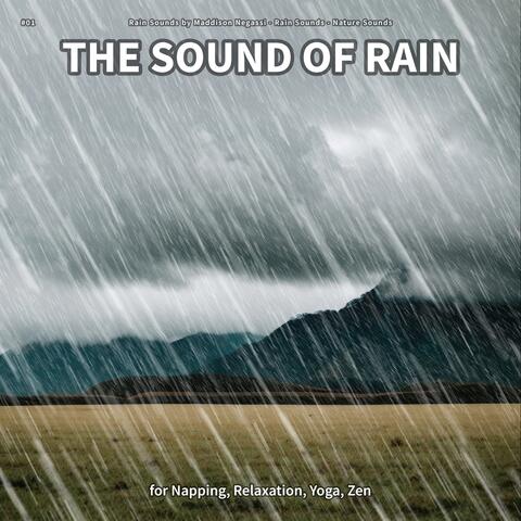 #01 The Sound of Rain for Napping, Relaxation, Yoga, Zen
