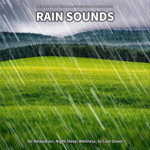 #01 Rain Sounds for Relaxation, Night Sleep, Wellness, to Cool Down