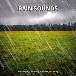 Rain Sounds, Pt. 28