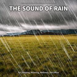The Sound of Rain, Pt. 95