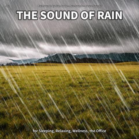 #01 The Sound of Rain for Sleeping, Relaxing, Wellness, the Office