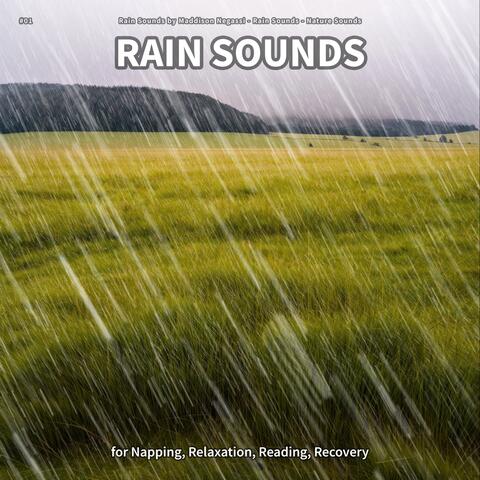 #01 Rain Sounds for Napping, Relaxation, Reading, Recovery