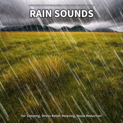 #01 Rain Sounds for Sleeping, Stress Relief, Relaxing, Noise Reduction
