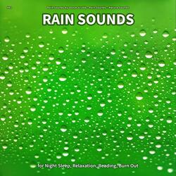 Rain Sounds, Pt. 82