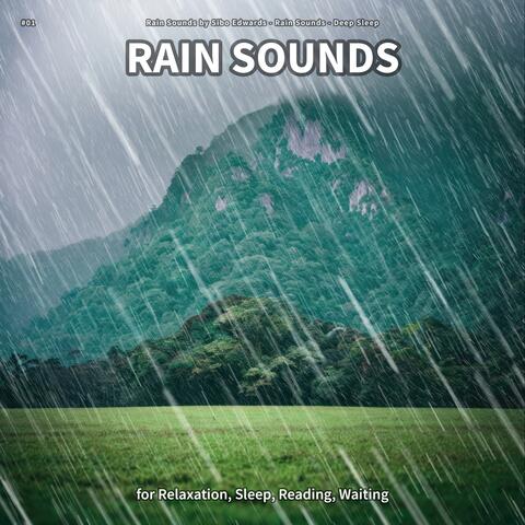 #01 Rain Sounds for Relaxation, Sleep, Reading, Waiting