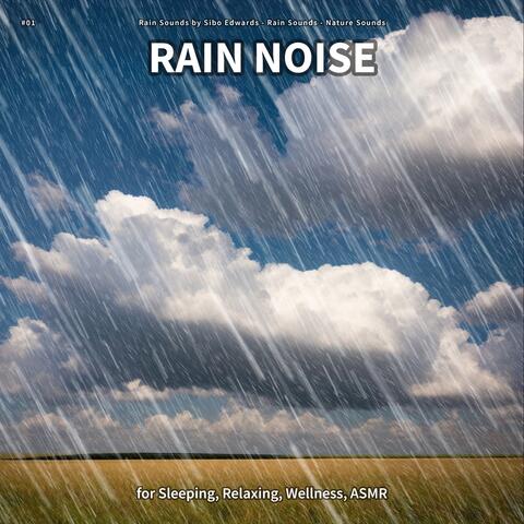 #01 Rain Noise for Sleeping, Relaxing, Wellness, ASMR