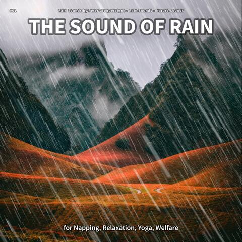 #01 The Sound of Rain for Napping, Relaxation, Yoga, Welfare