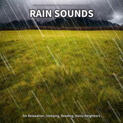 Rain Sounds, Pt. 84