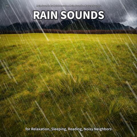 #01 Rain Sounds for Relaxation, Sleeping, Reading, Noisy Neighbors