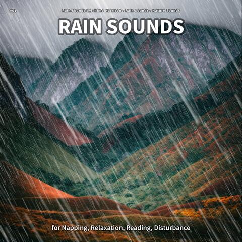 #01 Rain Sounds for Napping, Relaxation, Reading, Disturbance