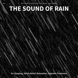 The Sound of Rain, Pt. 21