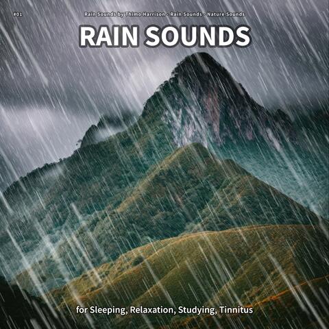 #01 Rain Sounds for Sleeping, Relaxation, Studying, Tinnitus