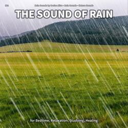 The Sound of Rain, Pt. 1