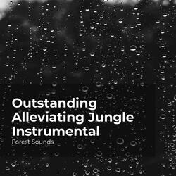 Forest Sound Effect