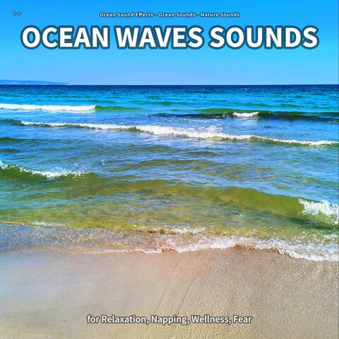 ** Ocean Waves Sounds for Relaxation, Napping, Wellness, Fear