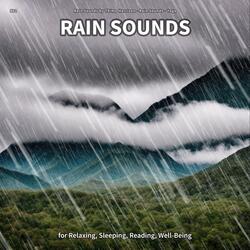 Rain Sounds, Pt. 62
