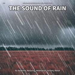 The Sound of Rain, Pt. 49