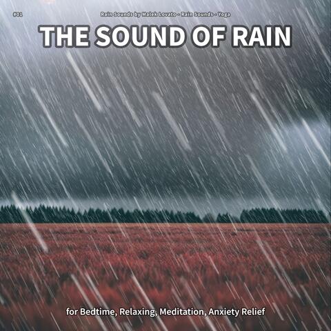 #01 The Sound of Rain for Bedtime, Relaxing, Meditation, Anxiety Relief