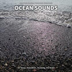 Ocean Sounds, Pt. 99