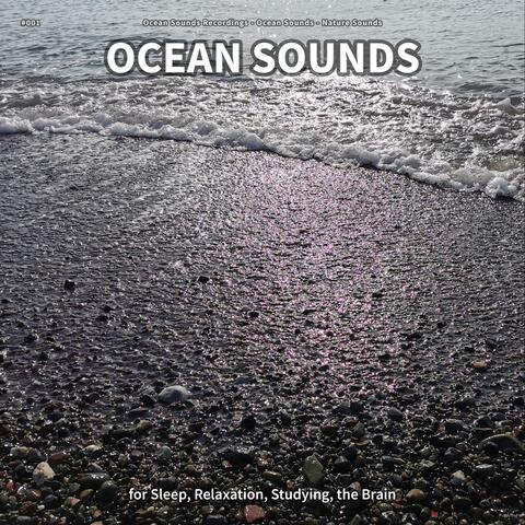 #001 Ocean Sounds for Sleep, Relaxation, Studying, the Brain