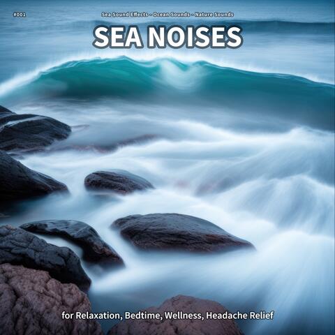 #001 Sea Noises for Relaxation, Bedtime, Wellness, Headache Relief