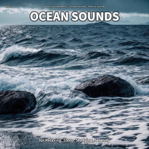 #001 Ocean Sounds for Relaxing, Sleep, Studying, Serenity