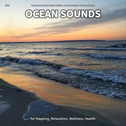 Ocean Sounds, Pt. 88