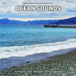 Ocean Sounds, Pt. 63