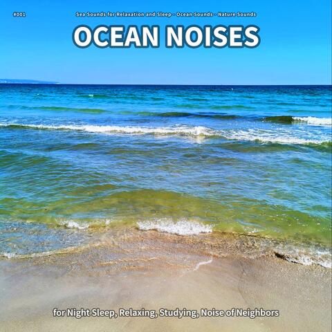 #001 Ocean Noises for Night Sleep, Relaxing, Studying, Noise of Neighbors