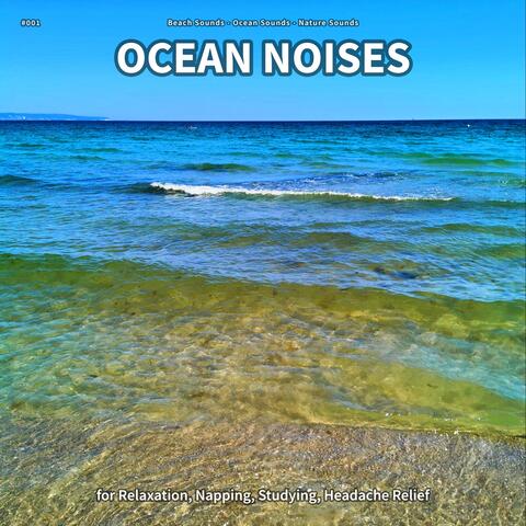 #001 Ocean Noises for Relaxation, Napping, Studying, Headache Relief