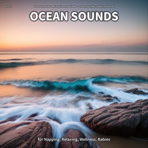 #001 Ocean Sounds for Napping, Relaxing, Wellness, Babies