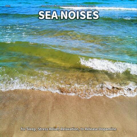 #001 Sea Noises for Sleep, Stress Relief, Relaxation, to Release Dopamine