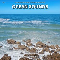 Ocean Sounds, Pt. 78