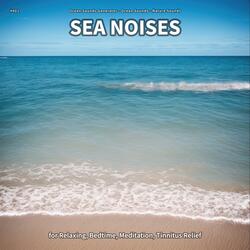 Sea Noises, Pt. 13