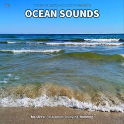 Ocean Sounds, Pt. 33
