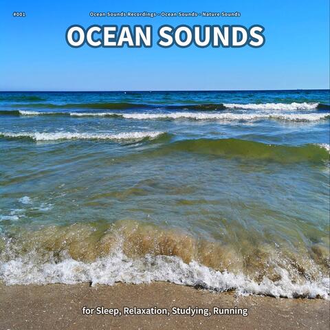 #001 Ocean Sounds for Sleep, Relaxation, Studying, Running