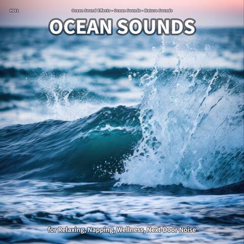 #001 Ocean Sounds for Relaxing, Napping, Wellness, Next-Door Noise