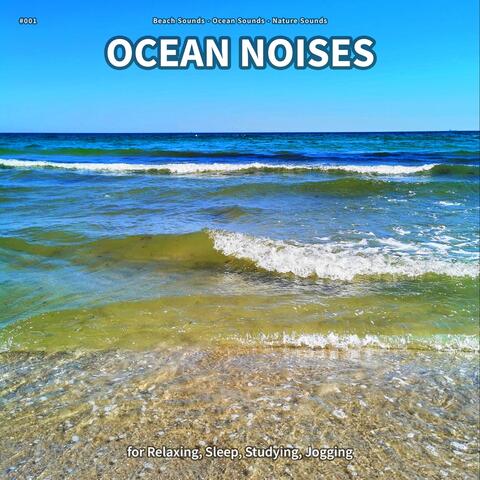 #001 Ocean Noises for Relaxing, Sleep, Studying, Jogging