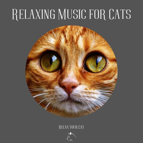 Relaxing Music for Cats