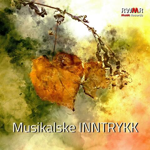 Musikalske inntrykk - Beroligende instrumentalmusikk, piano, gitar, saksofon, dyp avslapning, hvile og meditasjon, melankoli og drømmeri