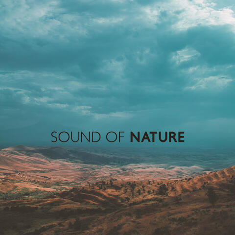 Sound Of Nature