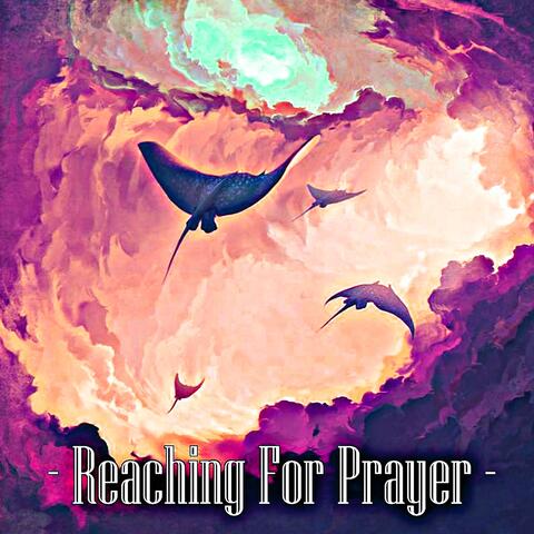 Reaching for Prayer