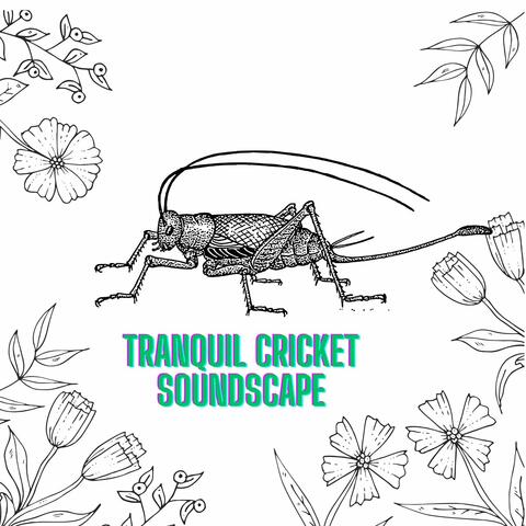 Tranquil Cricket Soundscape: Ambient Nature Meditation Music - Deep Relaxation, Inner Peace