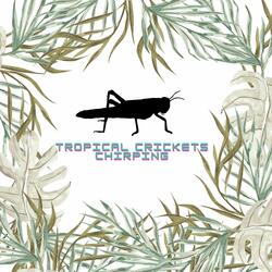 Cricket Chorus: Harmonic Nature Sounds