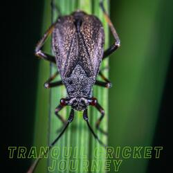 Serene Cricket Echoes: Harmonious Serenade