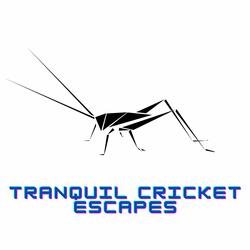 Cricket Soundscape: Gateway to Serenity