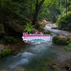 Rhythmic Melodies of the Brook: Let the Rhythmic Melodies of the Brook Guide You to Tranquility