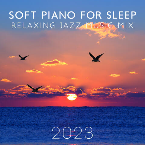 Piano Night Music Paradise